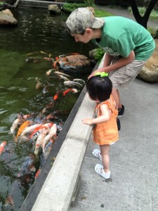 Grayson trying to convince Lily to feed the crackers to the fish rather than herself