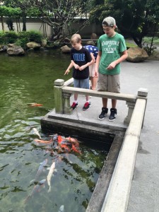 Boys feeding some of the fish